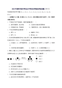 广东省深圳市2025年初中学业水平考试化学综合评估试卷（十一）-含答案
