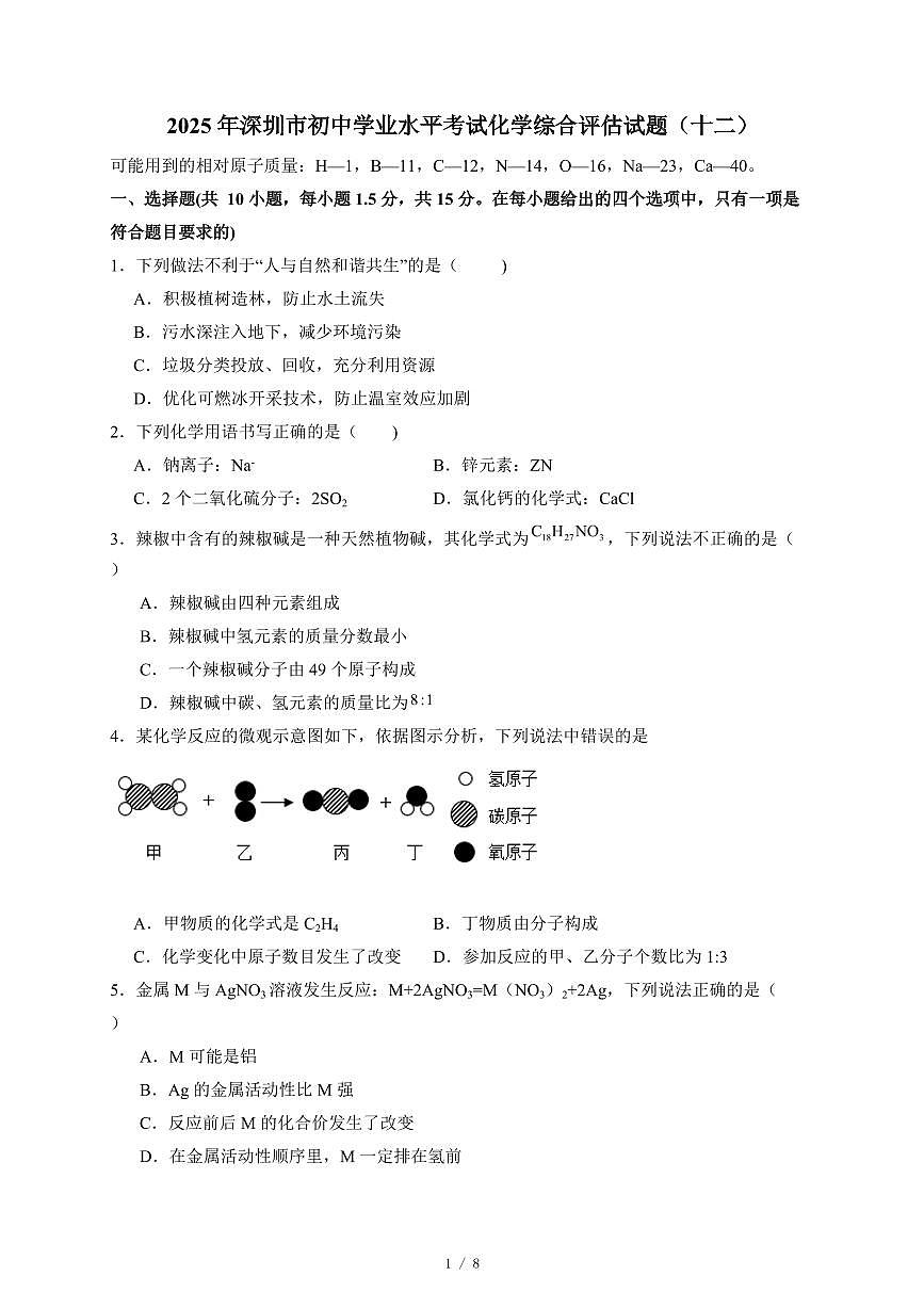 广东省深圳市2025年初中学业水平考试化学综合评估试卷(十二)(含答案)第1页