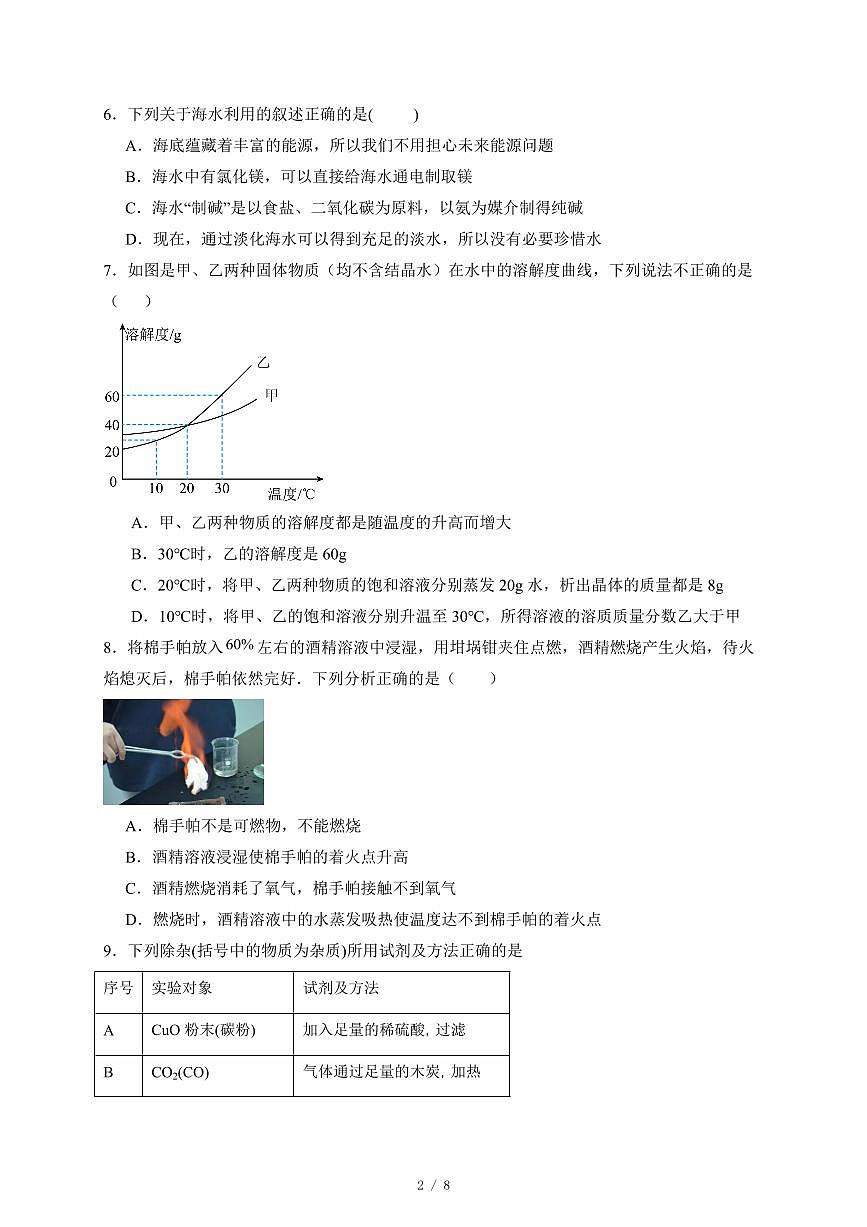 广东省深圳市2025年初中学业水平考试化学综合评估试卷(十二)(含答案)第2页