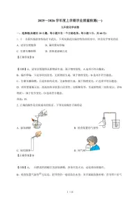 湖北省武汉市东西湖区2025~2026学年九年级上学期10月考化学试卷（含答案）