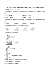 2025-2026学年广东省河源市紫金县九年级（上）期中化学试卷（含答案）