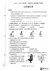河北省保定市定兴县2024-2025学年九年级上学期1月期末考试化学试题