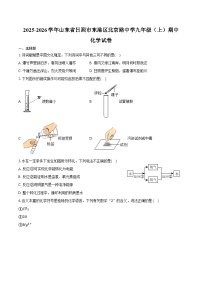 2025-2026学年山东省日照市东港区北京路中学九年级（上）期中化学试卷（含答案）