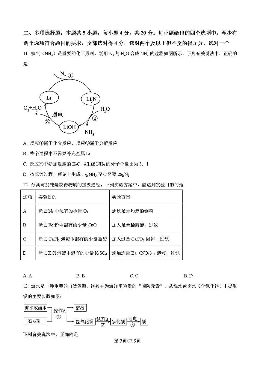 2025年济南市槐荫区九年级化学上学期期末考试试卷及其答案第3页