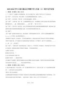 2025-2026学年上海市嘉定区华曜中学九年级（上）期中化学试卷（含答案）
