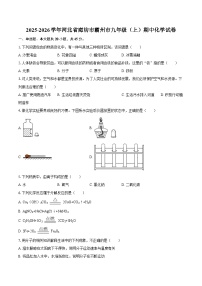 2025-2026学年河北省廊坊市霸州市九年级（上）期中化学试卷-自定义类型