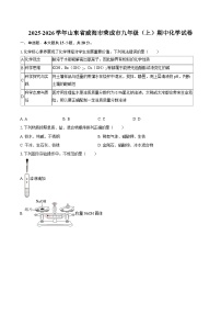2025-2026学年山东省威海市荣成市九年级（上）期中化学试卷-自定义类型