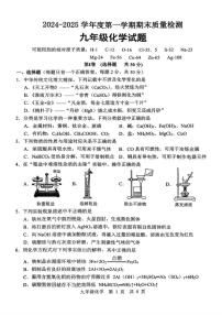 山东省济宁市任城区2024-2025学年九年级上学期期末质量检测化学试题