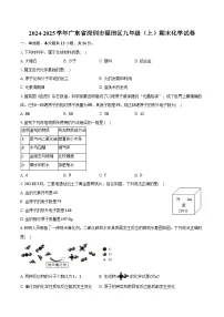 2024-2025学年广东省深圳市福田区九年级(上)期末化学试卷(含答案)