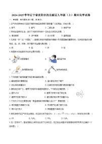 2024-2025学年辽宁省沈阳市沈北新区九年级（上）期末化学试卷（含答案）