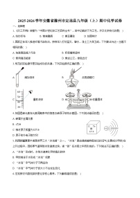 2025-2026学年安徽省滁州市定远县九年级(上)期中化学试卷(含答案)