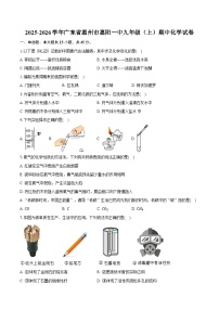 2025-2026学年广东省惠州市惠阳一中九年级（上）期中化学试卷（含答案）