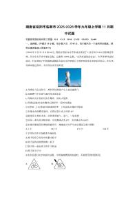 湖南省岳阳市临湘市2025-2026学年九年级上学期11月期中化学试卷（学生版）