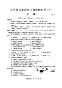 河南安阳市林州市2025-2026学年九年级上学期第三月考化学试卷