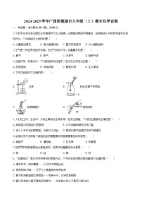 2024-2025学年广西防城港市九年级（上）期末化学试卷-自定义类型