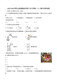 2025-2026学年山西省朔州市怀仁市九年级(上)期中化学试卷-自定义类型