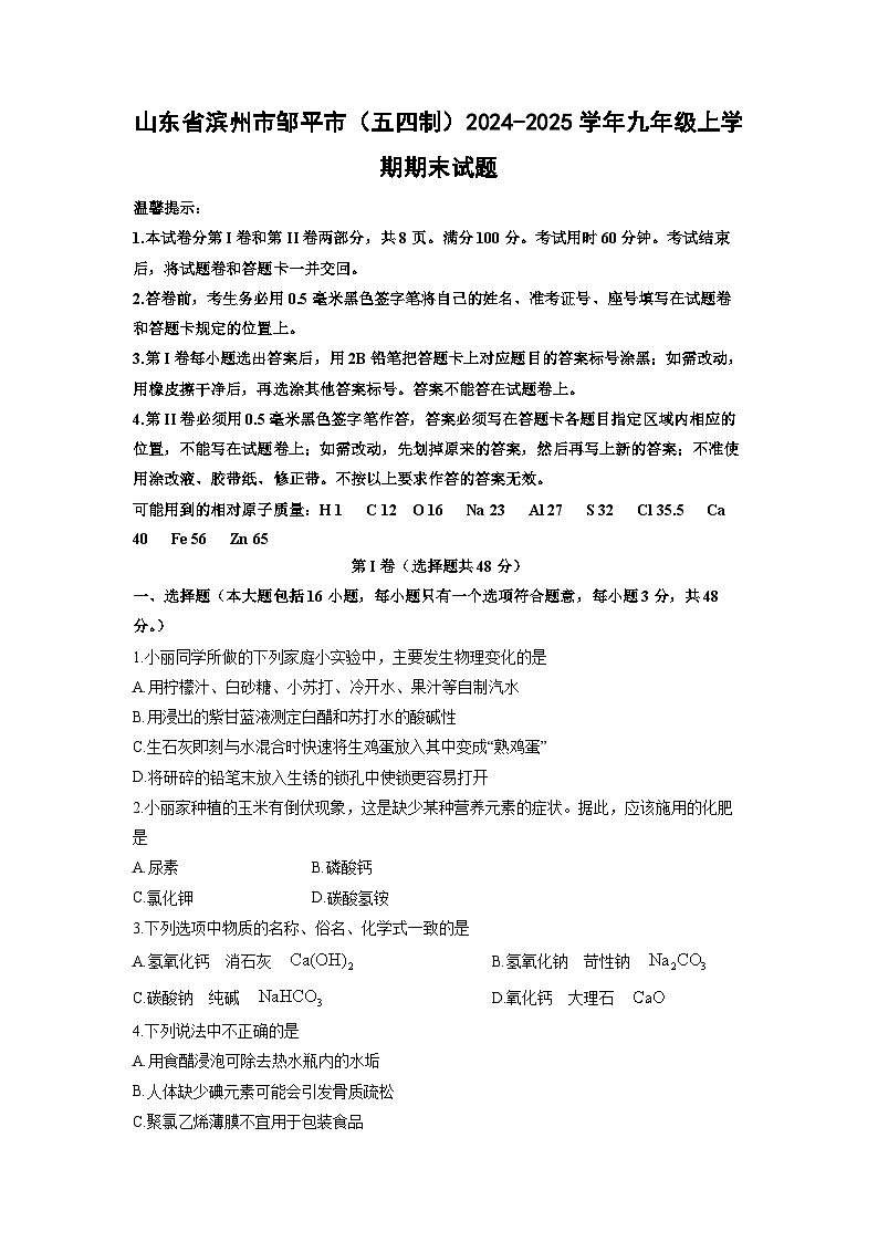 山东省滨州市邹平市(五四制)2024-2025学年九年级上学期期末化学试卷(学生版)第1页