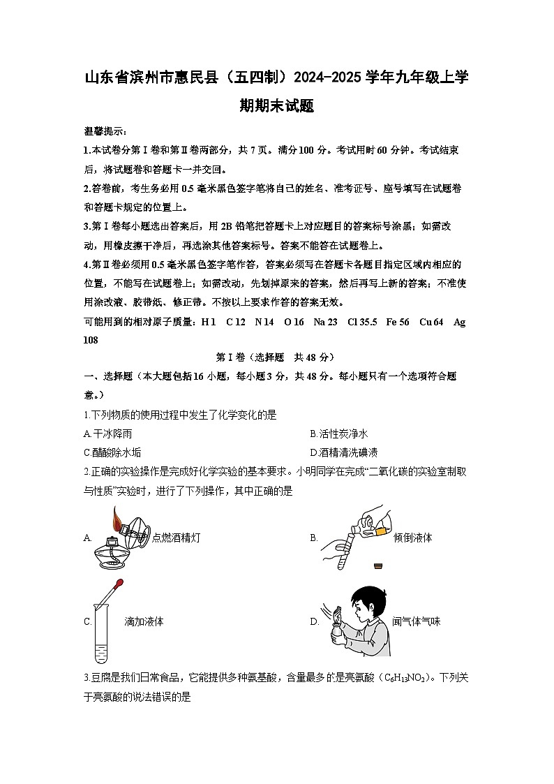 山东省滨州市惠民县(五四制)2024-2025学年九年级上学期期末化学试卷(学生版)第1页