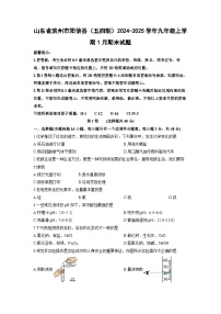 山东省滨州市阳信县（五四制）2024-2025学年九年级上学期1月期末化学试卷（学生版）