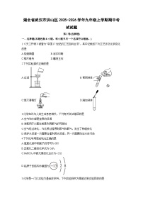 湖北省武汉市洪山区2025-2026学年九年级上学期期中考试化学试卷（学生版）