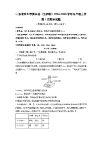 山东省滨州市博兴县（五四制）2024-2025学年九年级上学期1月期末化学试卷（学生版）