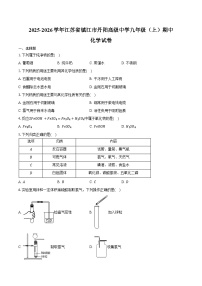 2025-2026学年江苏省镇江市丹阳高级中学九年级（上）期中化学试卷（含答案）
