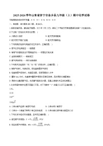 2025-2026学年山东省济宁市金乡县九年级（上）期中化学试卷（含答案+解析）