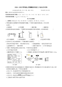 湖北省武汉市东西湖区2024-2025学年九年级上学期期末考试化学试题（word版含答案）