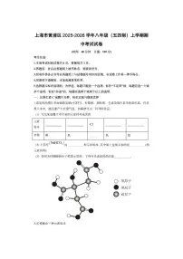 上海市黄浦区2025-2026学年八年级（五四制）上学期期中考试化学试卷（学生版）