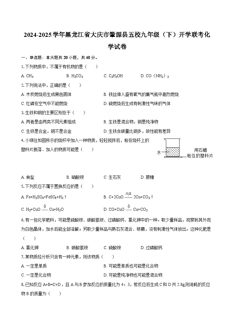 2024-2025学年黑龙江省大庆市肇源县五校九年级(下)开学联考化学试卷-自定义类型第1页