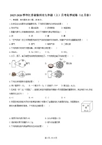 2025-2026学年江苏省徐州市九年级(上)月考化学试卷(12月份)-自定义类型