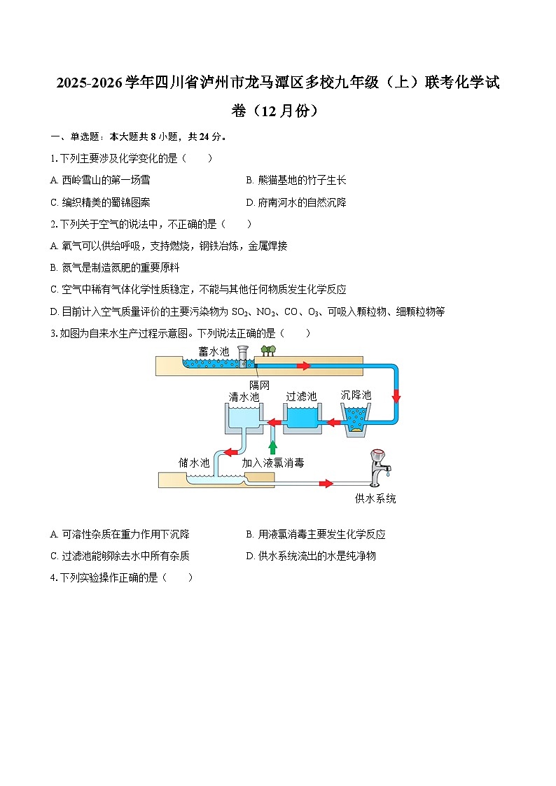 2025-2026学年四川省泸州市龙马潭区多校九年级(上)联考化学试卷(12月份)-自定义类型第1页