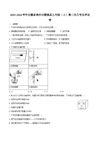 2025-2026学年安徽省亳州市蒙城县九年级（上）第三次月考化学试卷（含答案）
