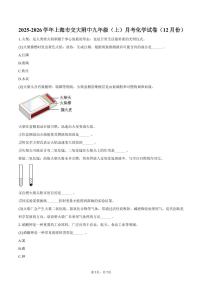 2025-2026学年上海市交大附中九年级（上）月考化学试卷（12月份）（含答案）