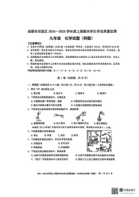 四川省成都市双流区2024-2025学年九年级上学期期末考试化学试题