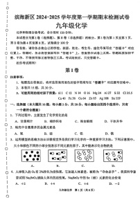 天津市滨海新区2024-2025学年九年级上学期期末考试化学试卷