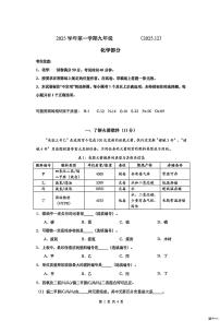 上海市杨浦双语学校2025-2026学年九年级上学期12月月考化学试题