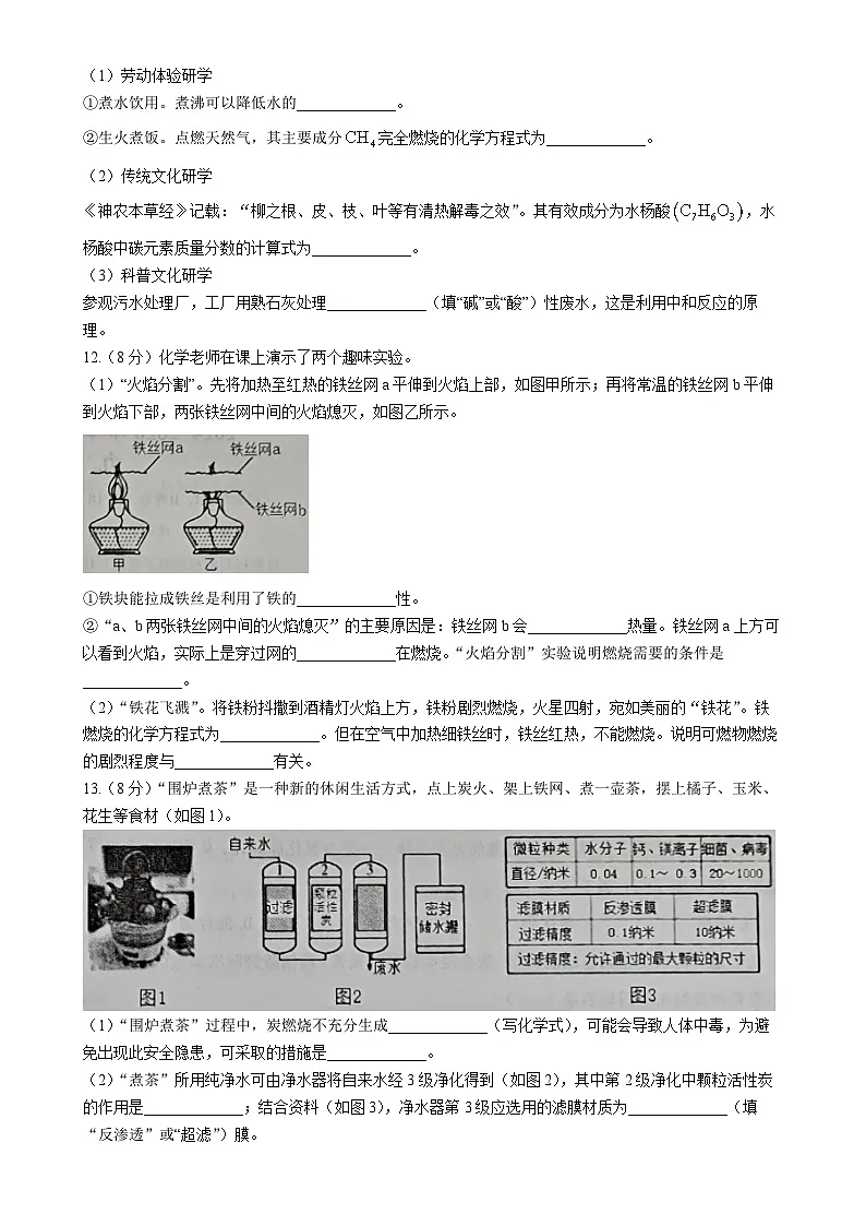 福建省三明市宁化县九年级下学期期中化学试题-A4第3页