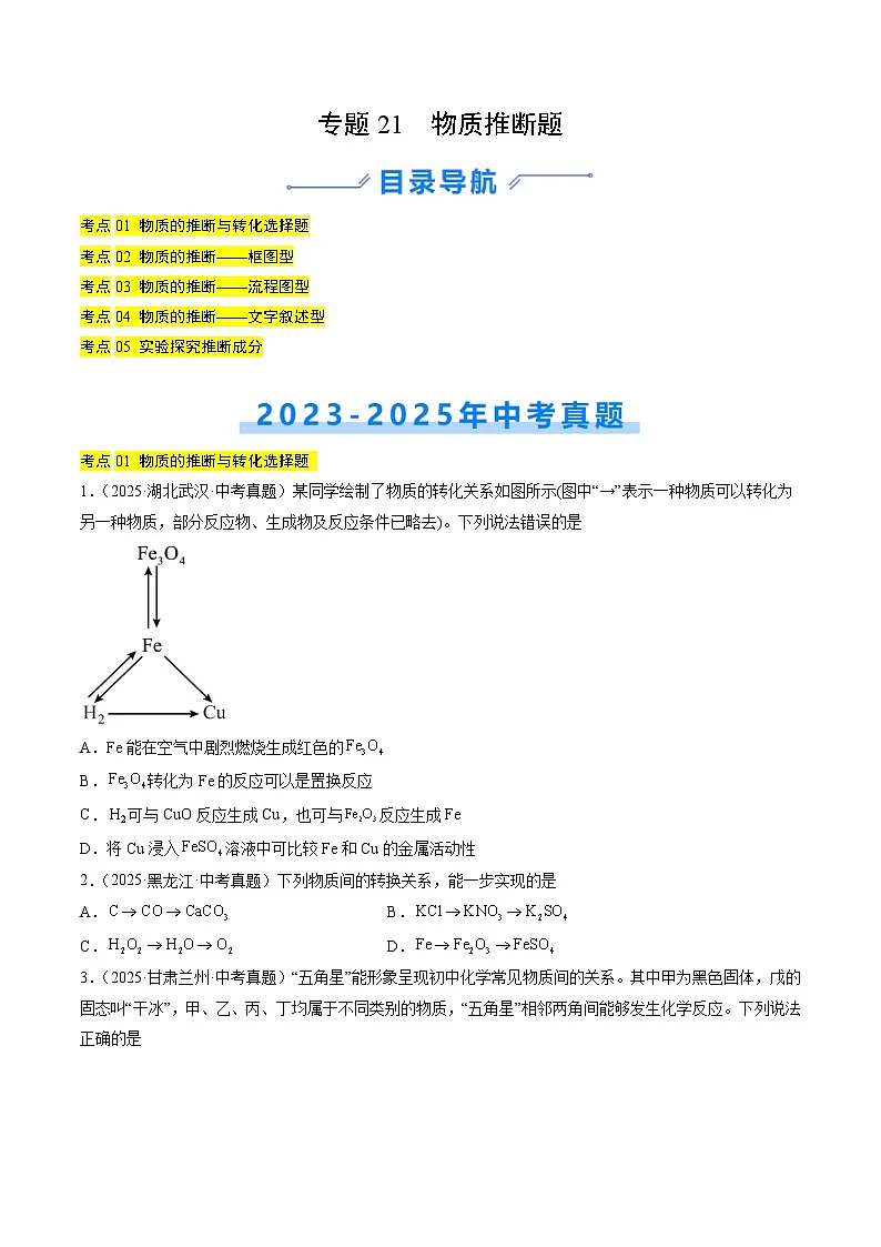 专题21 物质推断题(原卷版)第1页