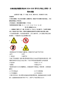 云南省迪庆藏族自治州2024-2025学年九年级上学期1月期末化学试卷(学生版)