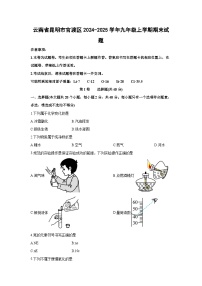 云南省昆明市官渡区2024-2025学年九年级上学期期末化学试卷（学生版）