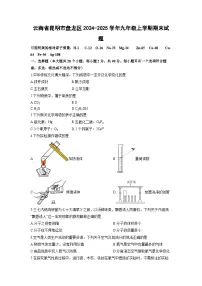 云南省昆明市盘龙区2024-2025学年九年级上学期期末化学试卷(学生版)