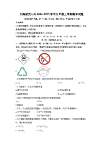 云南省文山州2024-2025学年九年级上学期期末化学试卷（学生版）