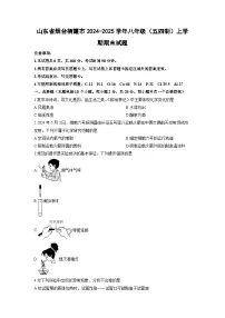 山东省烟台栖霞市2024-2025学年八年级（五四制）上学期期末化学试卷（学生版）
