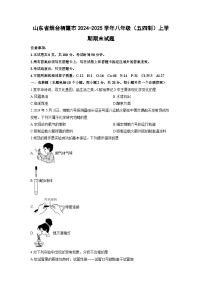 山东省烟台栖霞市2024-2025学年八年级(五四制)上学期期末化学试卷(学生版)