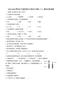 2025-2026学年辽宁省沈阳市于洪区九年级（上）期末化学试卷-自定义类型