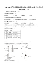 2024-2025学年江苏省镇江市科技新城实验学校九年级（上）期末化学模拟试卷（二）-自定义类型