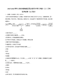 2025-2026学年上海市浦东新区民办欣竹中学八年级（上）月考化学试卷（12月份）（含答案）