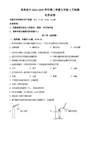 福建省龙岩市高级中学九年级下学期3月月考化学试题-A4