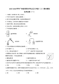 2025-2026学年广东省深圳市坪山区九年级（上）期末化学模拟试卷（一）（含答案）